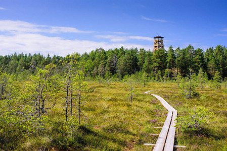 Lahemaa公园的Majakivi图片