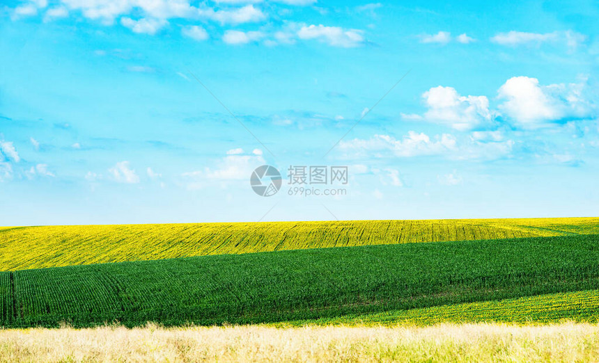 田野和丘陵的美丽风景图片