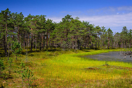 拉赫马公园的维鲁拉巴沼泽图片