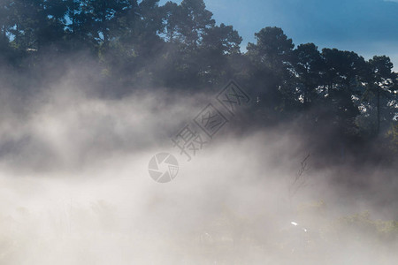 在山林日出自然景观的晨雾图片