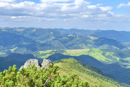 从山顶看夏天的风景俯瞰绿色的山脉和松树图片