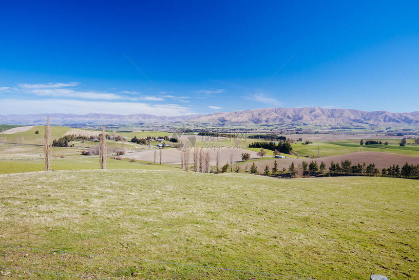 在新西兰马肯齐埃费利Fairlie附近一个明亮的春天GeraldineFairlieLooko图片