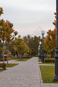 Yekatererinburg市秋天图片
