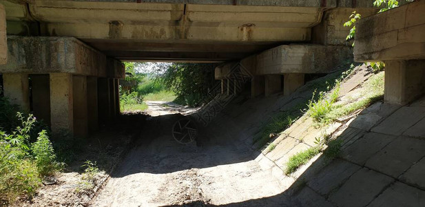 桥下的道路通到桥下的树荫土和杂草以图片