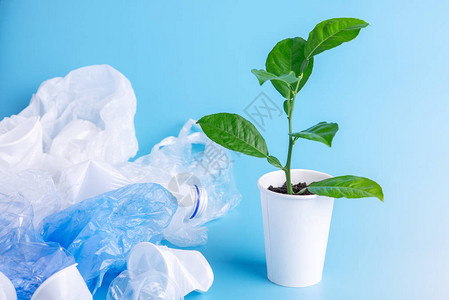 绿色植物生长在塑料垃圾中蓝色背景上的瓶子和袋子环境保护和废背景图片