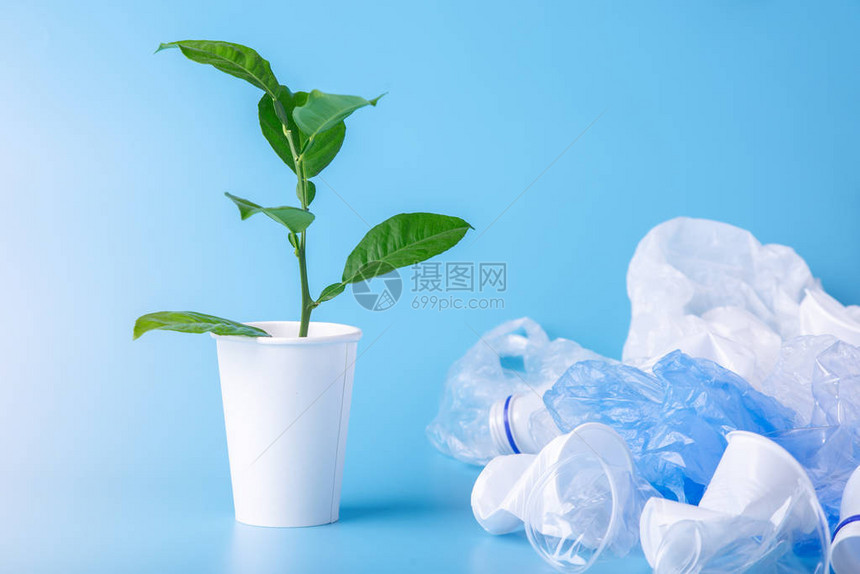 绿色植物生长在塑料垃圾中蓝色背景上的瓶子和袋子环境保护和废图片