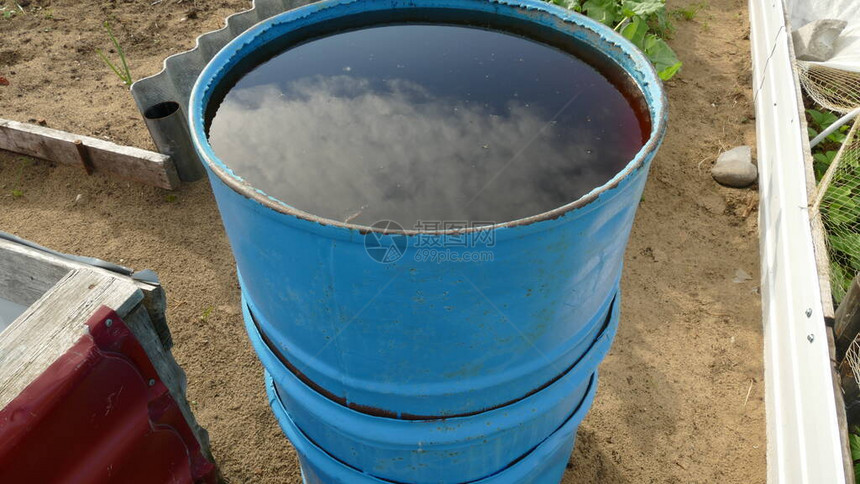 用于灌溉的蓝色雨水桶图片