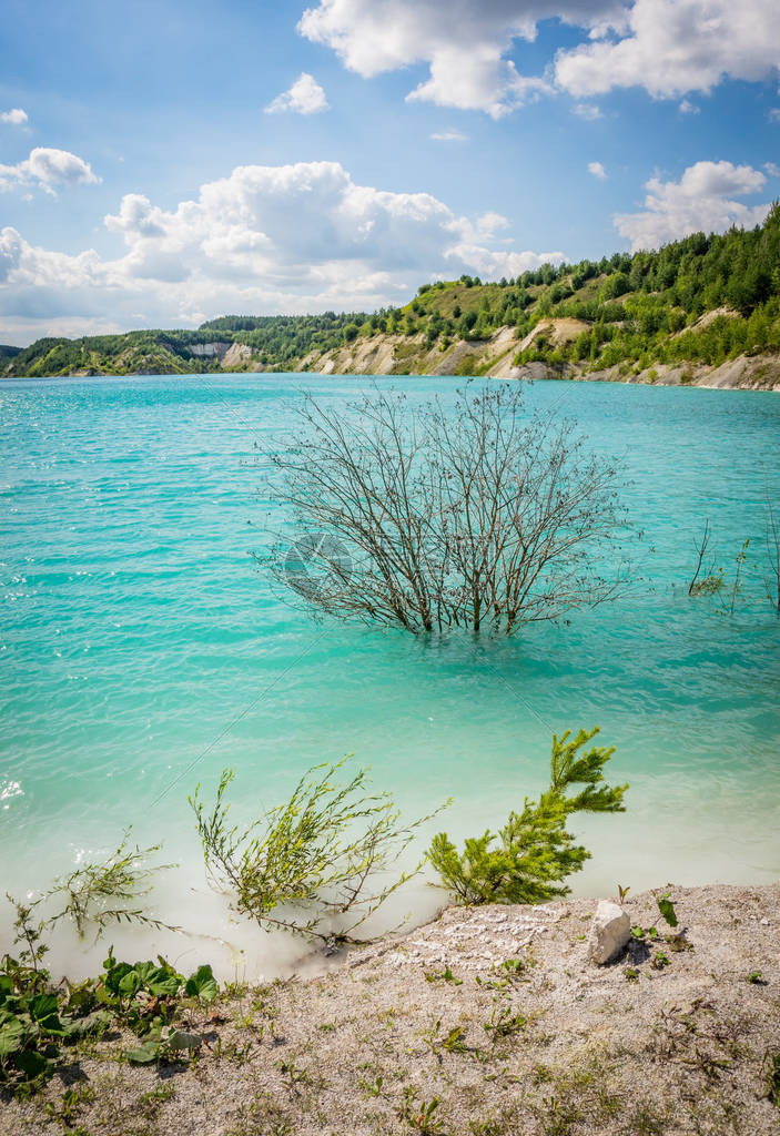 沃尔科维斯克粉笔坑或白俄罗斯马尔代夫美丽的饱和蓝色湖泊白俄罗斯沃卡维斯克附近著名的粉笔采石场为满足Krasnaselski工厂建图片