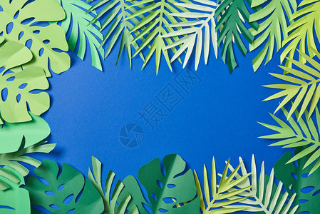 绿色纸异国树叶的顶部视图蓝色背背景图片