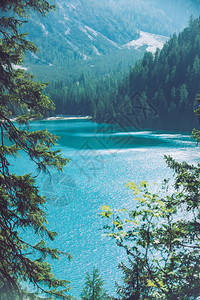 山中的湖景与冷杉树林背景图片