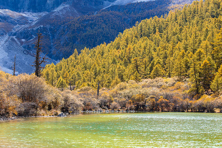 四川Yading自然保护区秋天的珍珠湖或Zhuoma图片