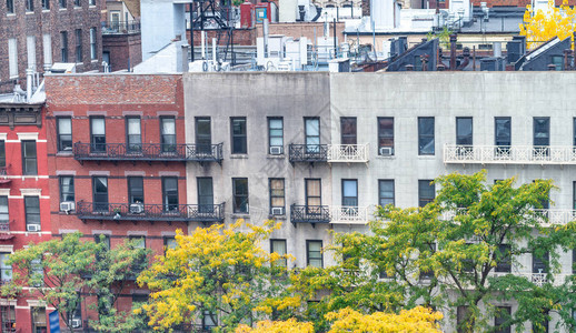 树叶季节的纽约建筑图片