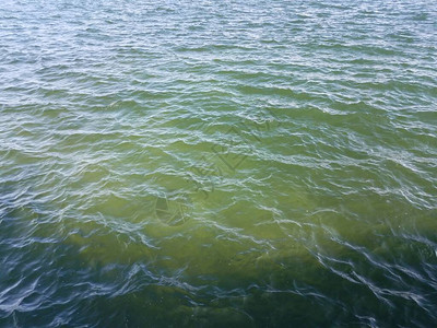 湖泊或池塘中的黑蓝水和绿水图片
