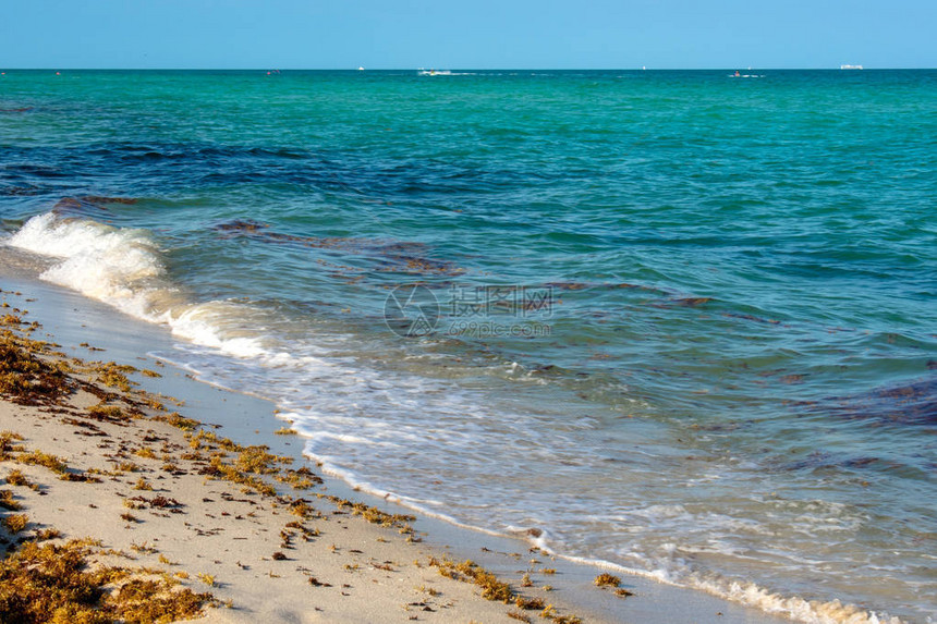 一个阳光明媚的海滩的看法与绿松石波浪海洋和藻类图片
