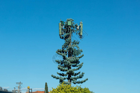 加利福尼亚州洛杉矶的手机基地站伪装成松树般的模样图片