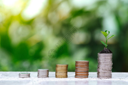 成堆硬币上植物的生长投资的增加储蓄思想和对商业图片