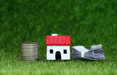 钱和草坪上的微型房子图片