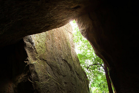 古老森林中的神秘洞穴图片
