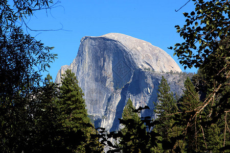 Yosemite半个多米图片
