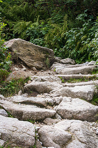 山中的天然楼梯塔特拉山的户外小径用石头做图片