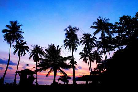 泰国素叻他尼安通群岛海洋公园热带海滩日出时椰子树和棕榈树的剪影图片