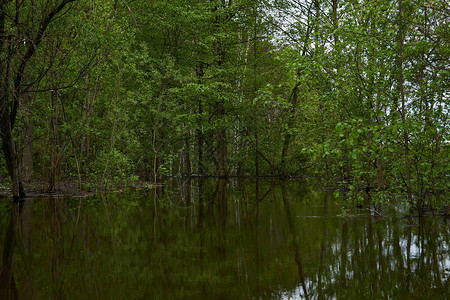 当春天河水流出河岸时灌满了高图片