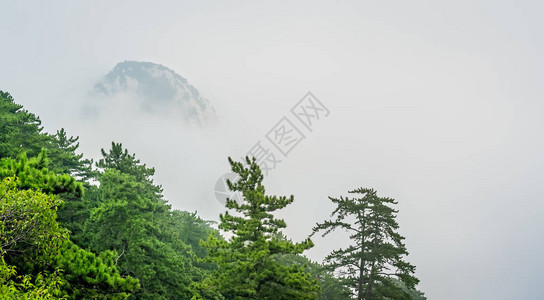 从小径到陕西省著名旅游胜地华山鼓舞人心神圣而雄伟的图片