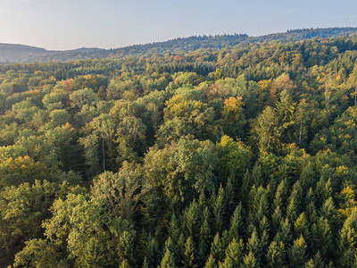 从上面对瑞士的森林和露天地区进行空中观察图片