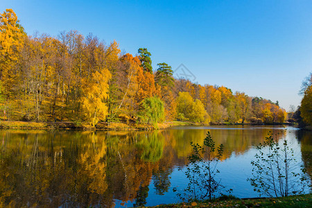 在莫斯科的秋天公园和池塘图片