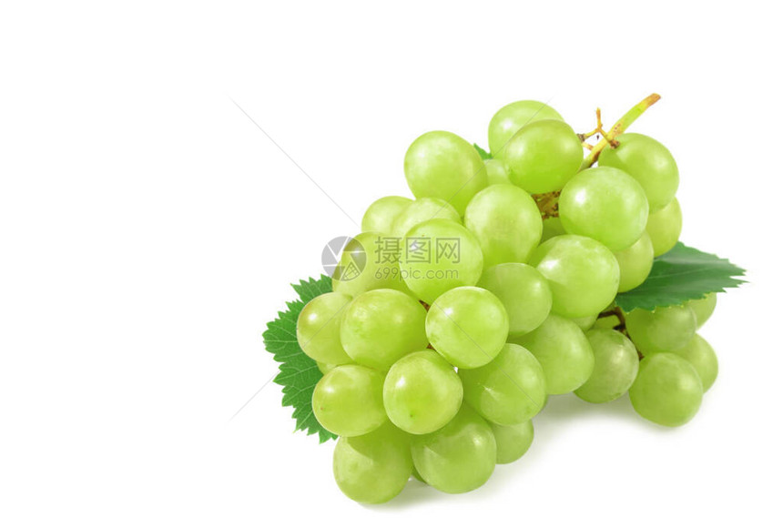 白背景的浆果和一枝葡萄图片