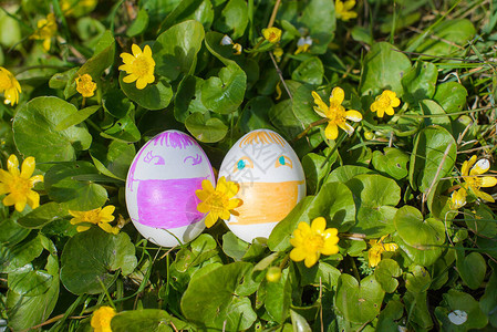 两个复活节鸡蛋图片