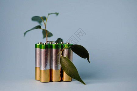 AAAlkaline电池和绿叶清图片