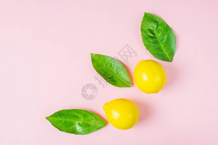 明亮成熟的多汁柠檬和柠檬树叶图片