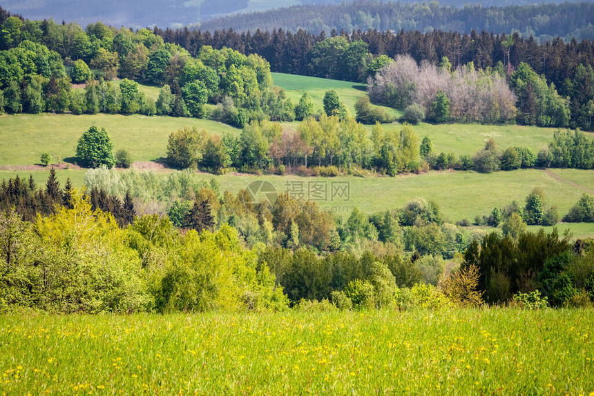 以绿草地和树木为代表的春季风景捷克图片