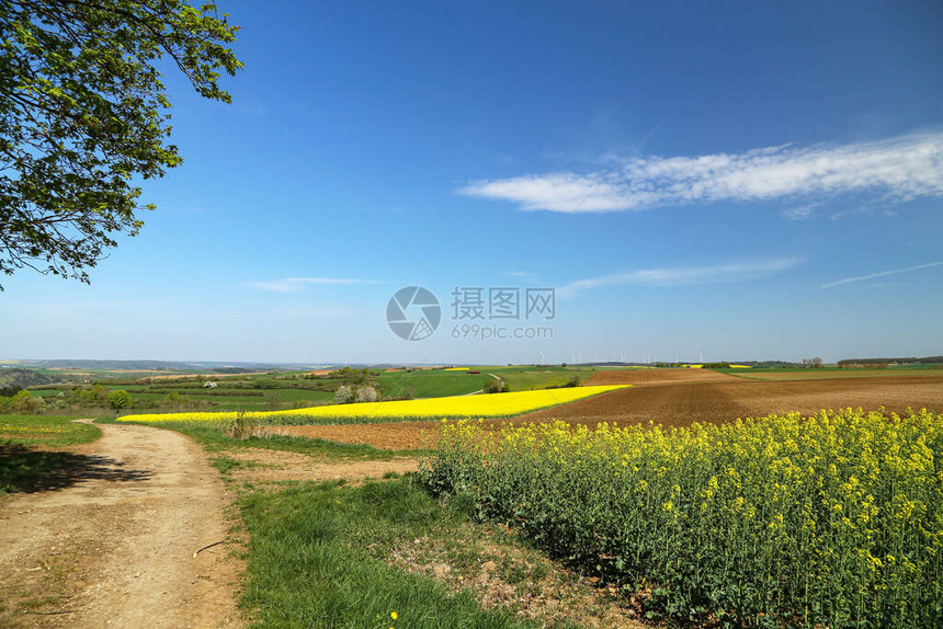 春天风景德国的多姿图片