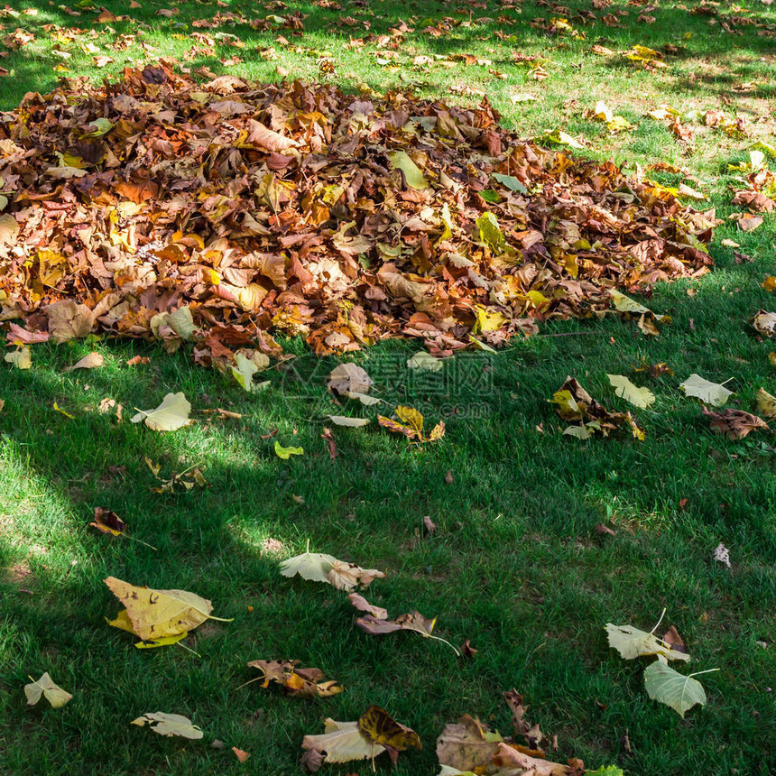 在公园里堆落秋叶图片