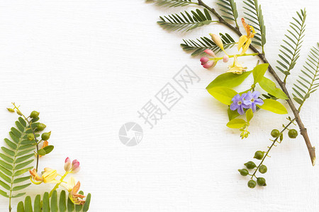花朵和草原植物安排平坦的明信片风格用白色打上白纸图片