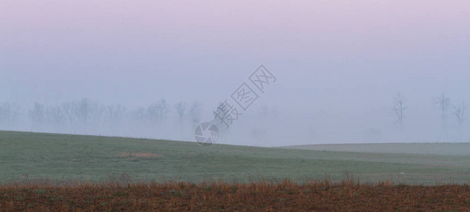 雾时的草甸景观图片