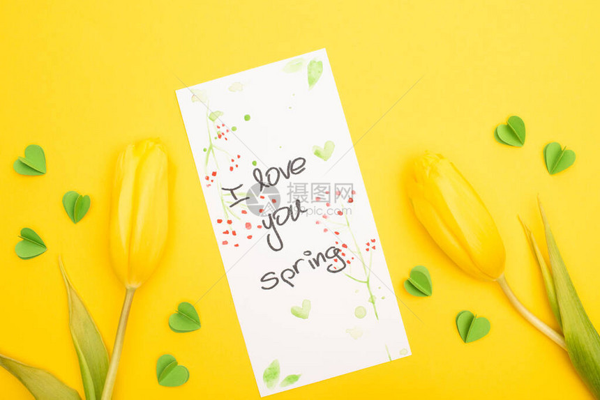 郁金香的顶视图带有我爱你的卡片春天的字母和黄色背图片