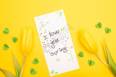 郁金香的顶视图带有我爱你的卡片春天的字母和黄色背图片