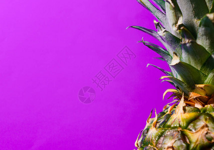 在紫色背景的成熟菠萝图片