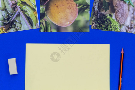 使用健康食品印刷照片白纸换文字木制薄粉和橡胶图片