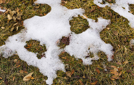 黄绿草上融雪第一道雪背景纹理图片