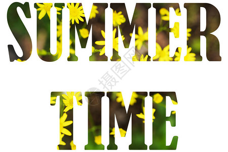 夏季班艺术字花字体母夏季时间由真正的活黄色花朵背景制成开花背景
