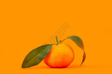 橙色的橘子和橙色背图片