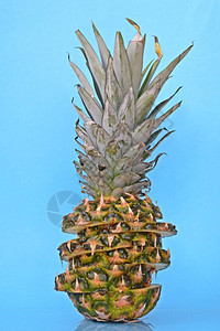 菠萝片在纯色背景前构成整个菠萝背景图片