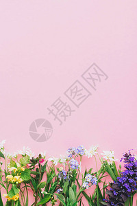 粉色纸面背景上的野花多彩边框图片