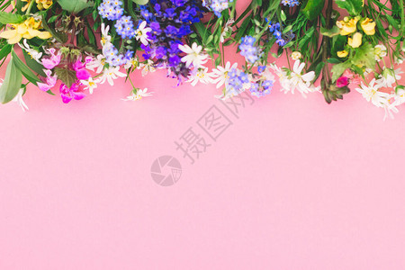 粉色纸背景上五颜六色的春天野花的朵平铺图片