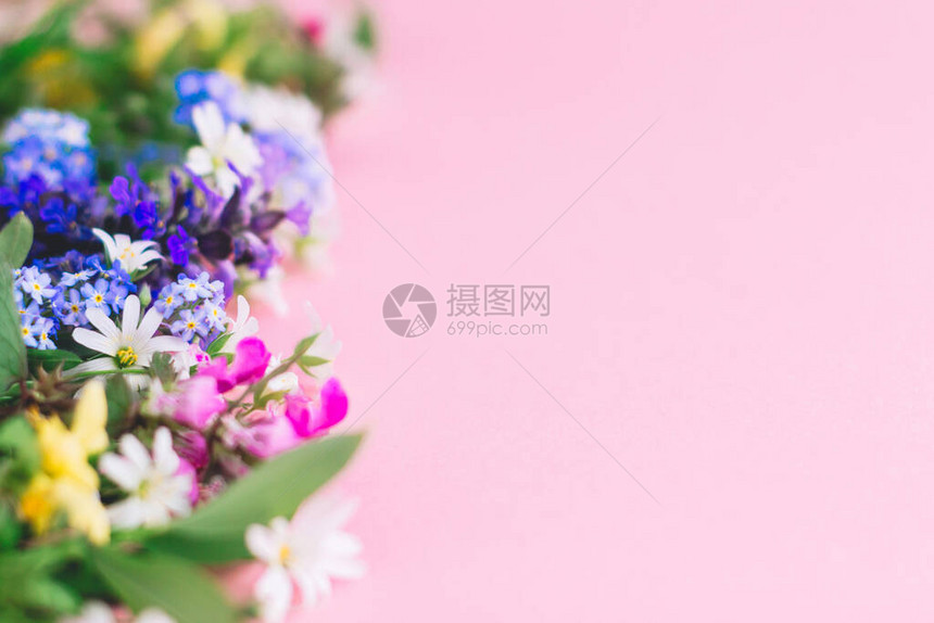 粉红色纸背景上的野花彩色边框图片