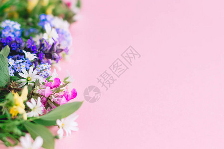 五颜六色的春天野花在粉红色的纸背景上图片